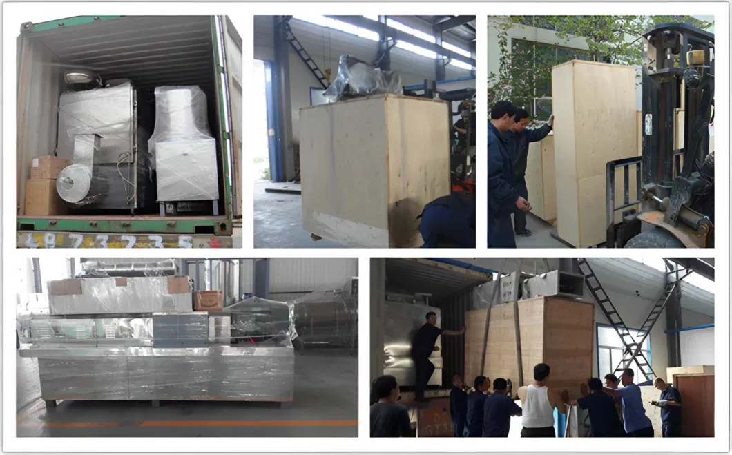 Industrial Automatic Conveyor Belt Type Microwave Tunnel Spice Drying Equipment